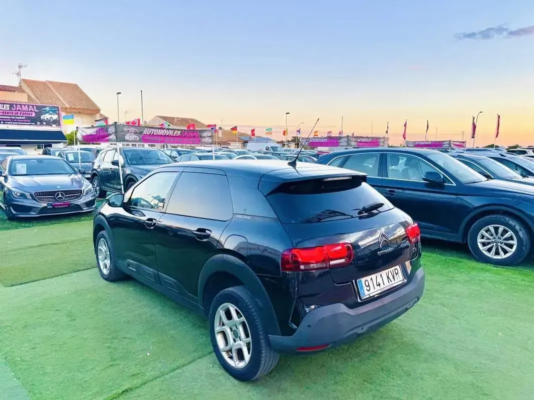 Usado Citroën C4 Cactus Feel 120 HP (88 kW) 2019 Citadino