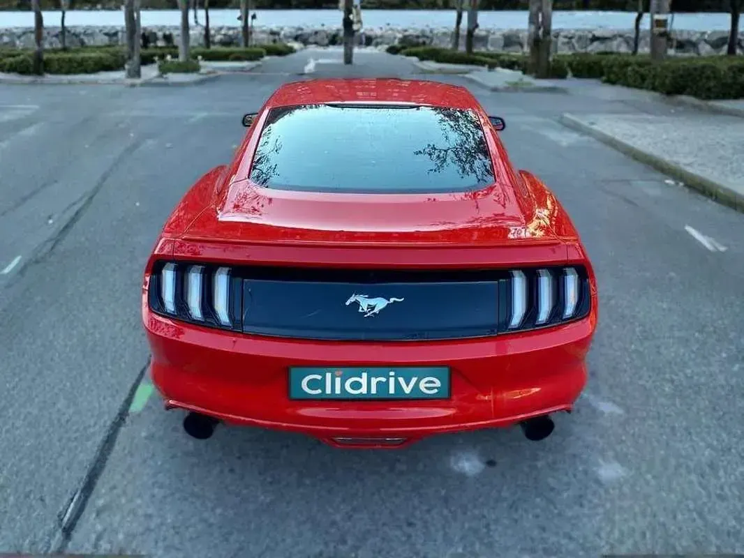 Usado Ford Mustang Fastback 314 CV (230 kW) 2016 Rojo Coupe
