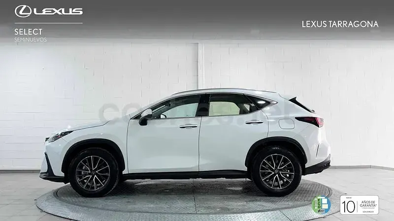Usado Lexus NX350h 197 CV (144 kW) 2026 Blanco SUV