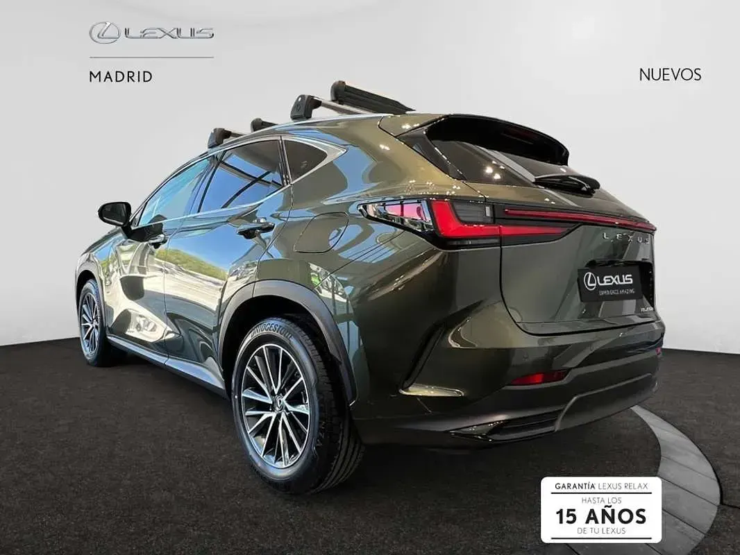 Nuevo Lexus NX350h 242 CV (177 kW) 2025 Verde SUV