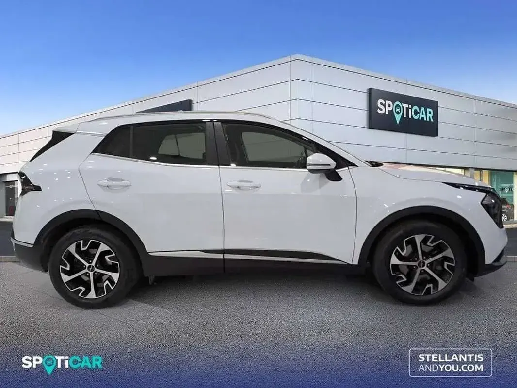 Occasion Kia Sportage 162 ch (119 kW) 2024 Blanc SUV