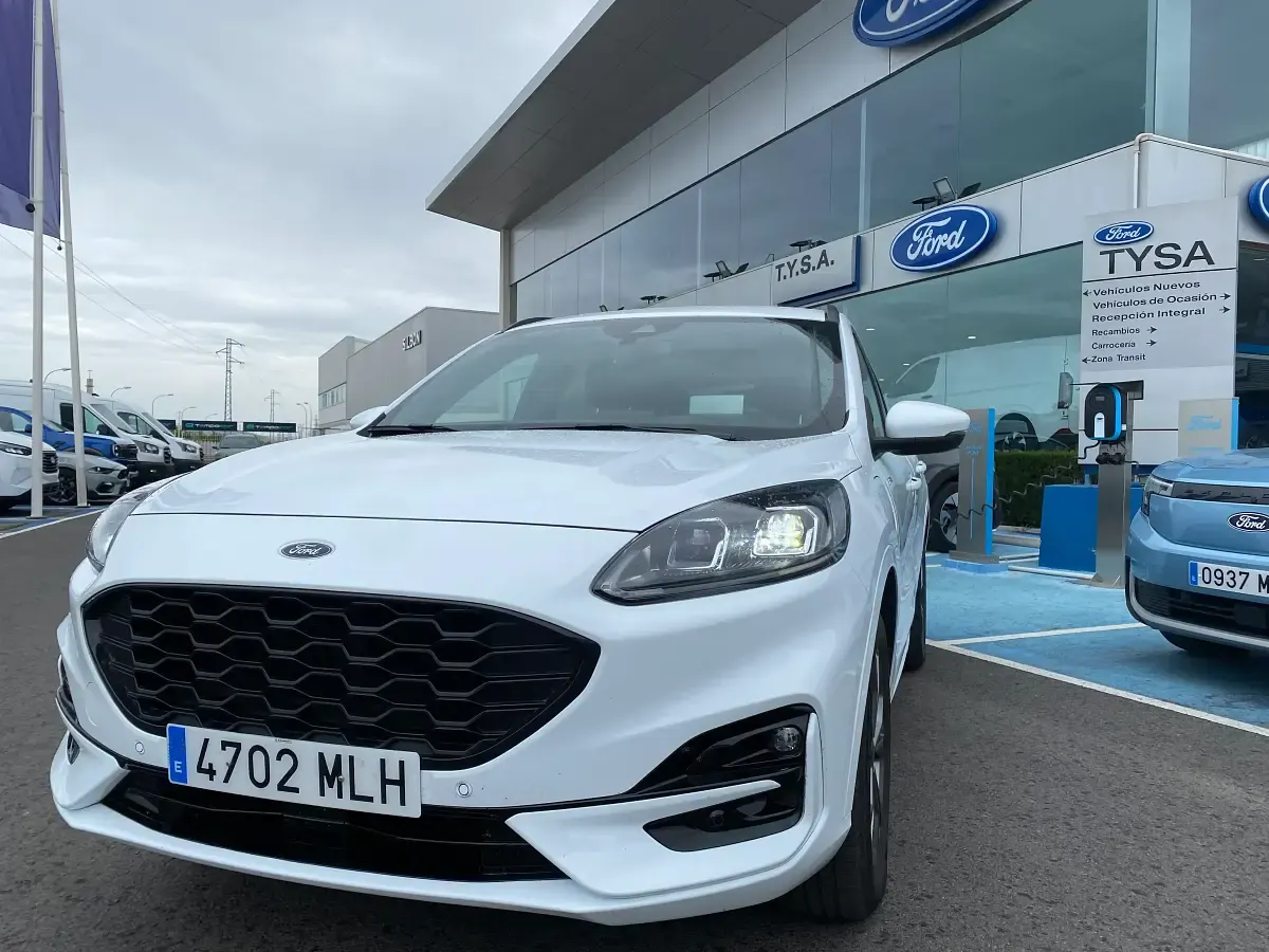 Usado Ford Kuga ST-Line 226 CV (166 kW) 2023 Gris SUV