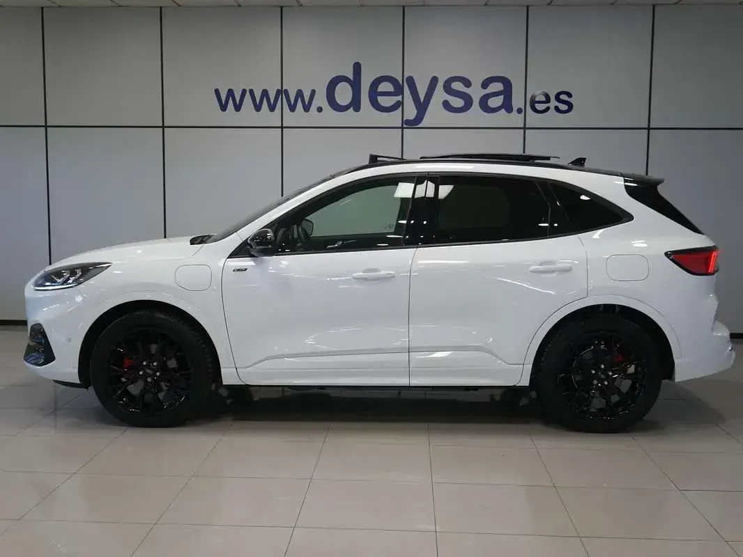 Usado Ford Kuga ST-Line X 224 CV (164 kW) 2023 Blanco SUV