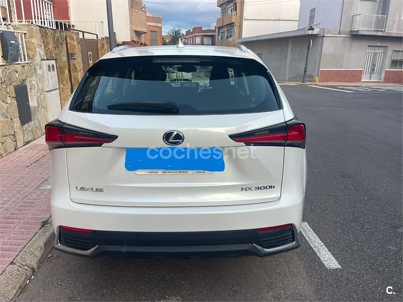 Usado Lexus NX300h Business Edition 197 CV (144 kW) 2020 Blanco SUV