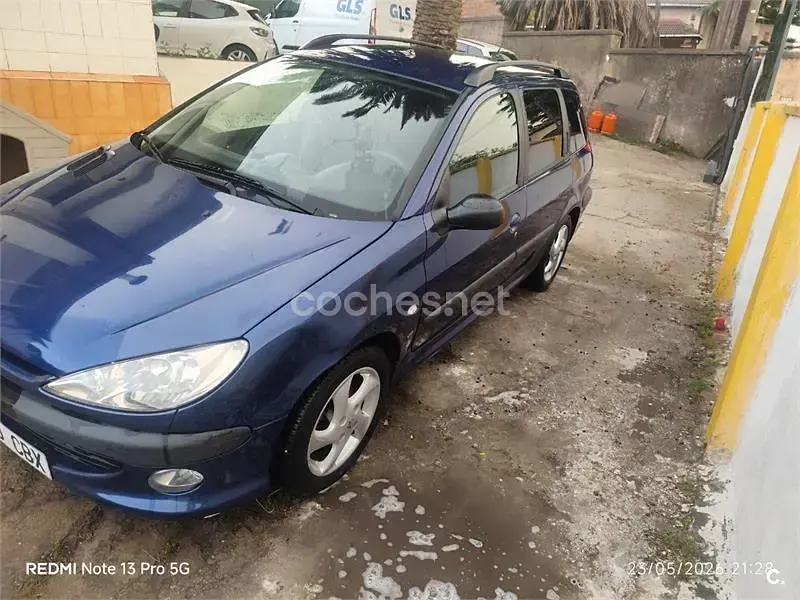 Usado Peugeot 206 90 CV (66 kW) 2002 Azul Familiar