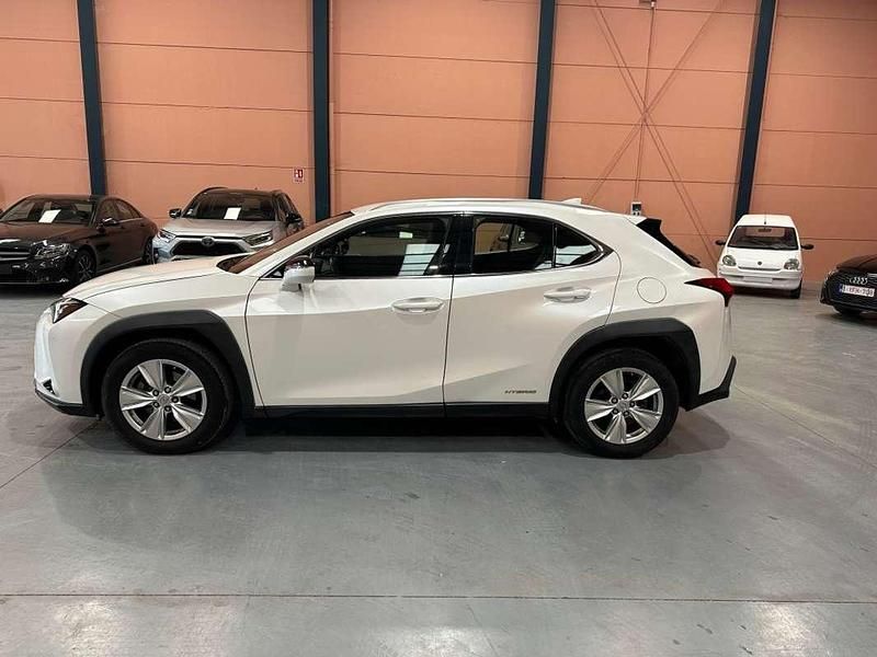 Usado Lexus UX 250h Business Edition 2021 Blanco SUV