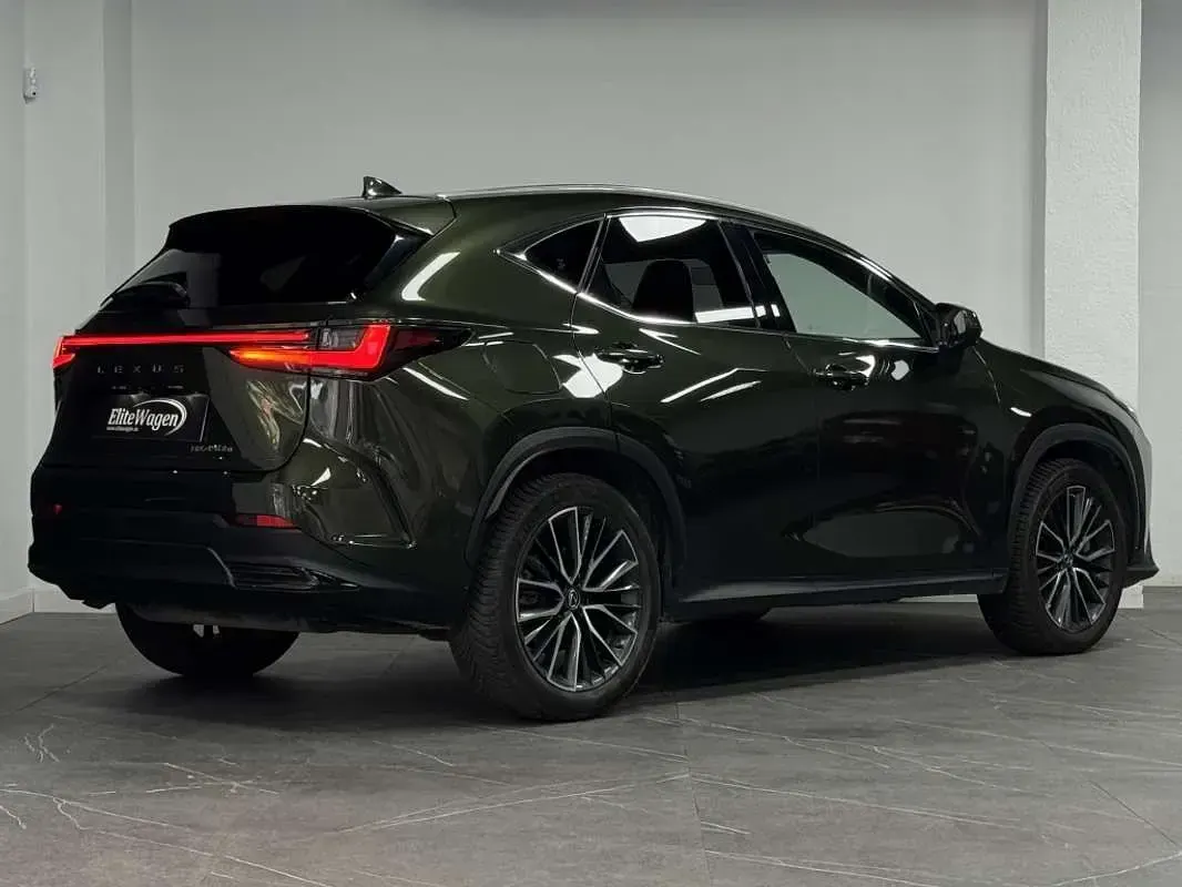 Usado Lexus NX450h+ Luxury Line 306 CV (225 kW) 2022 Verde SUV