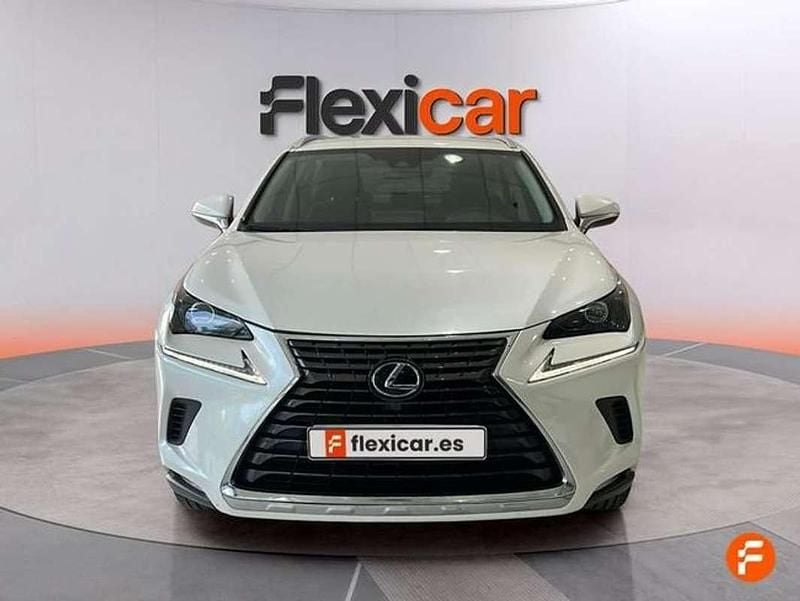 Usado Lexus NX300h Business Edition 197 CV (144 kW) 2019 Blanco SUV