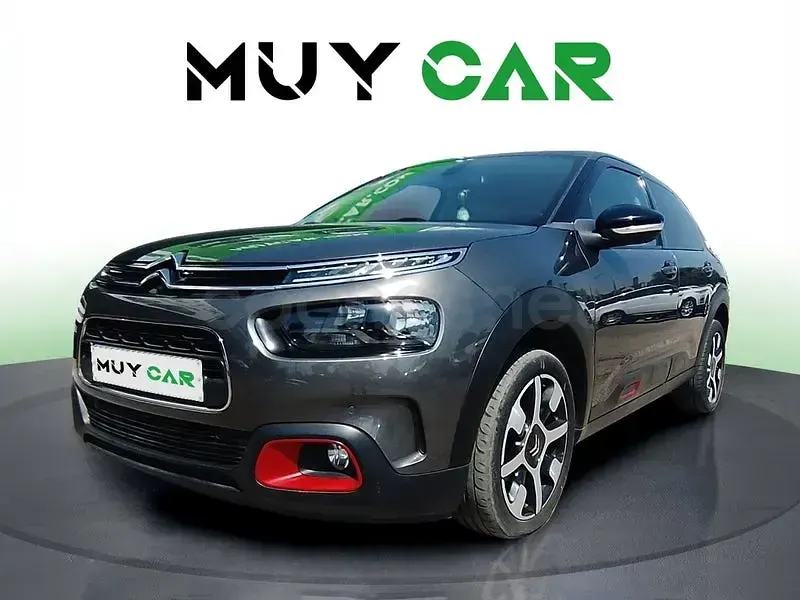 Usado Citroën C4 Cactus Live 99 CV (72 kW) 2019 Gris / plata Utilitario