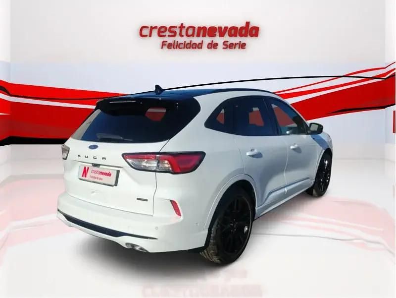 Usado Ford Kuga ST-Line X 190 CV (139 kW) 2024 SUV