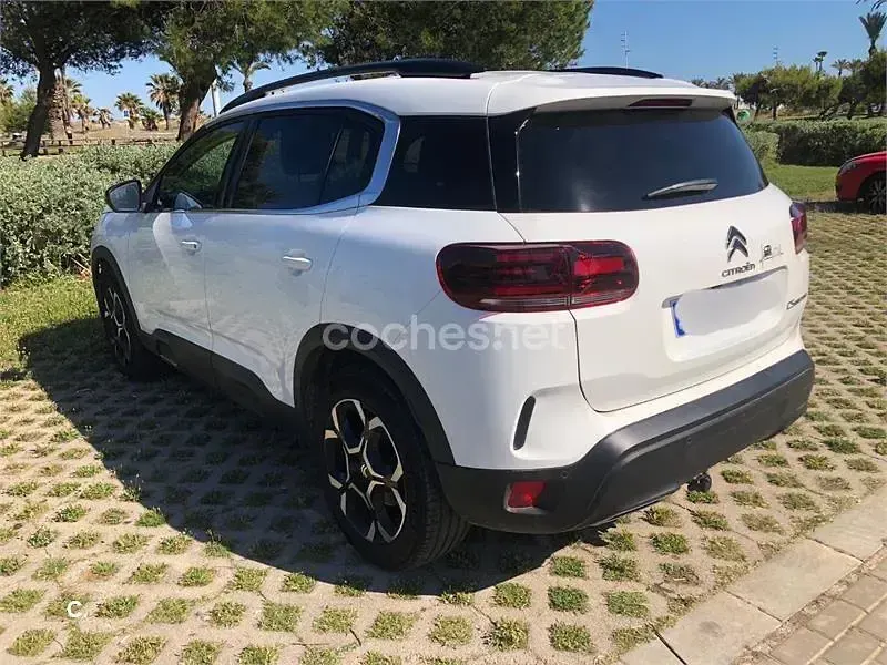 Usado Citroën C5 Aircross Feel 131 CV (96 kW) 2023 Blanco SUV
