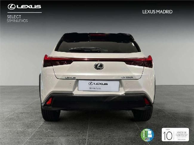 Usado Lexus UX 183 CV (134 kW) 2024 Blanco SUV