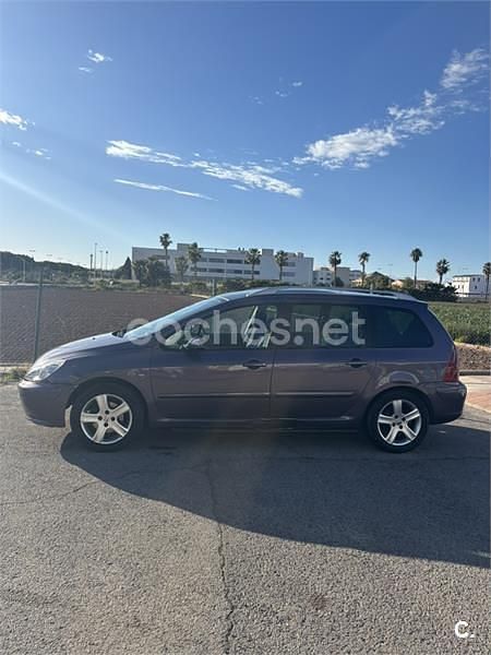 Usado Peugeot 307 110 CV (80 kW) 2004 Violeta / lila Familiar