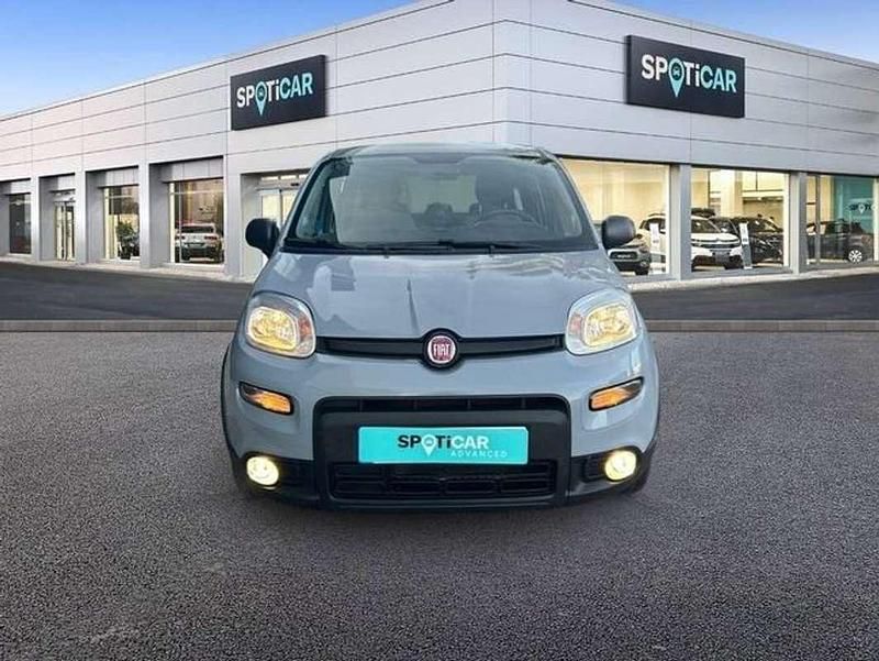 Usado Fiat Panda City Life 71 CV (52 kW) 2021 Gris Berlina