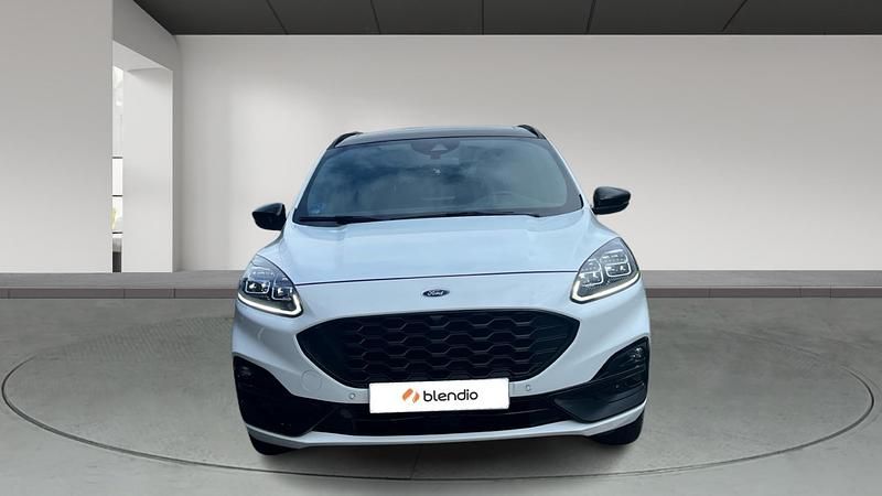 Usado Ford Kuga ST-Line X 225 CV (165 kW) 2023 Blanco SUV