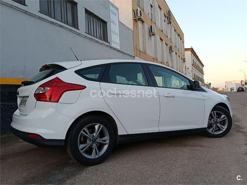 Usado Ford Focus Trend 115 CV (84 kW) 2014 Blanco Berlina