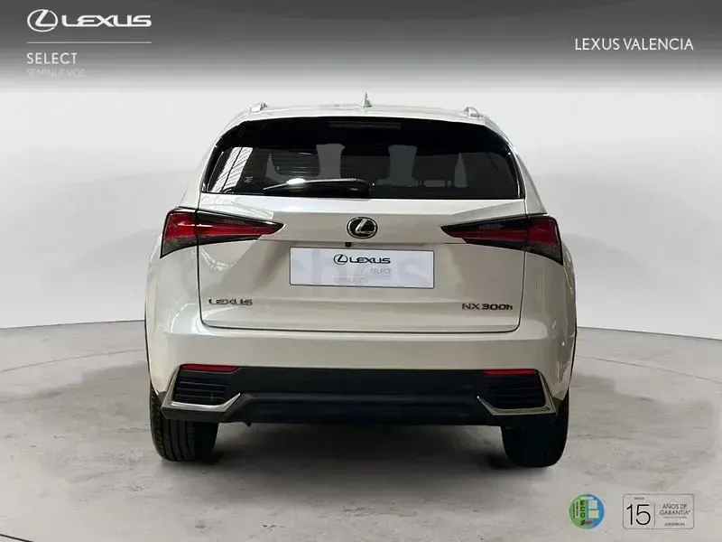 Usado Lexus NX300h Business Edition 197 CV (144 kW) 2019 Blanco SUV