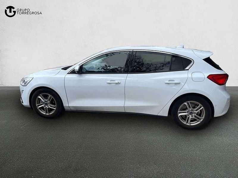 Usado Ford Focus Trend+ 125 CV (91 kW) 2019 Blanco Utilitario
