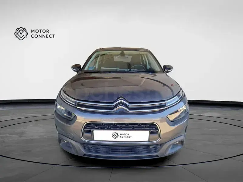 Usado Citroën C4 Cactus Feel 102 CV (75 kW) 2020 Gris / plata Utilitario