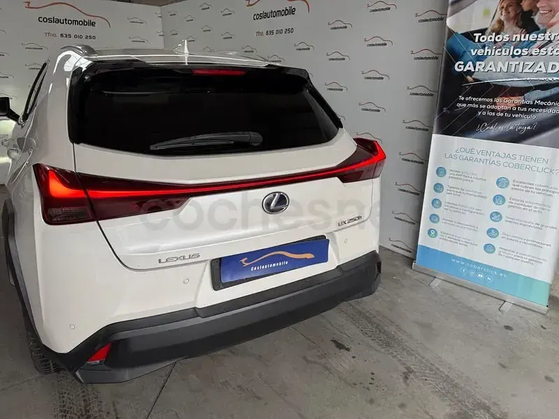 Usado Lexus UX Business Edition 184 CV (135 kW) 2021 Blanco SUV