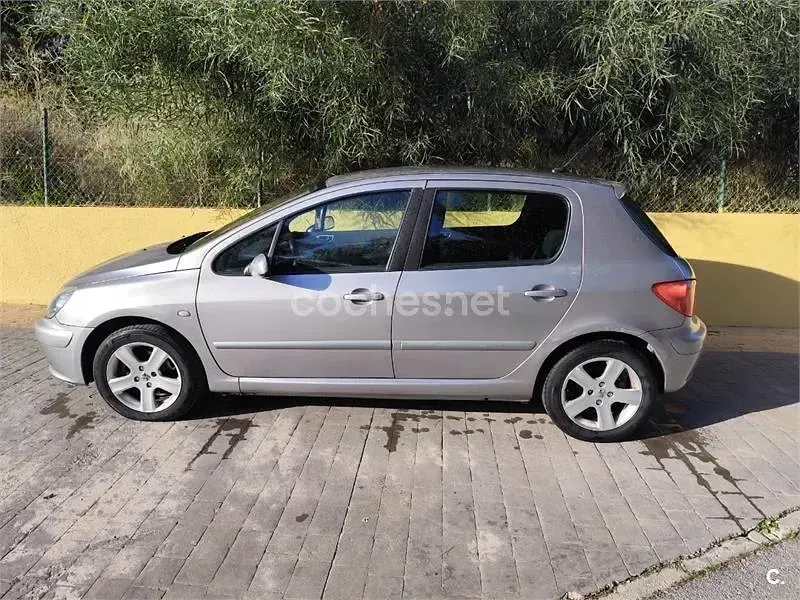 Usado Peugeot 307 110 CV (80 kW) 2002 Gris / plata Berlina