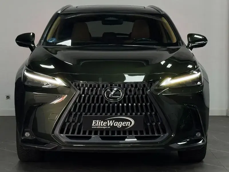 Usado Lexus NX450h+ Luxury Line 306 CV (225 kW) 2022 Verde SUV