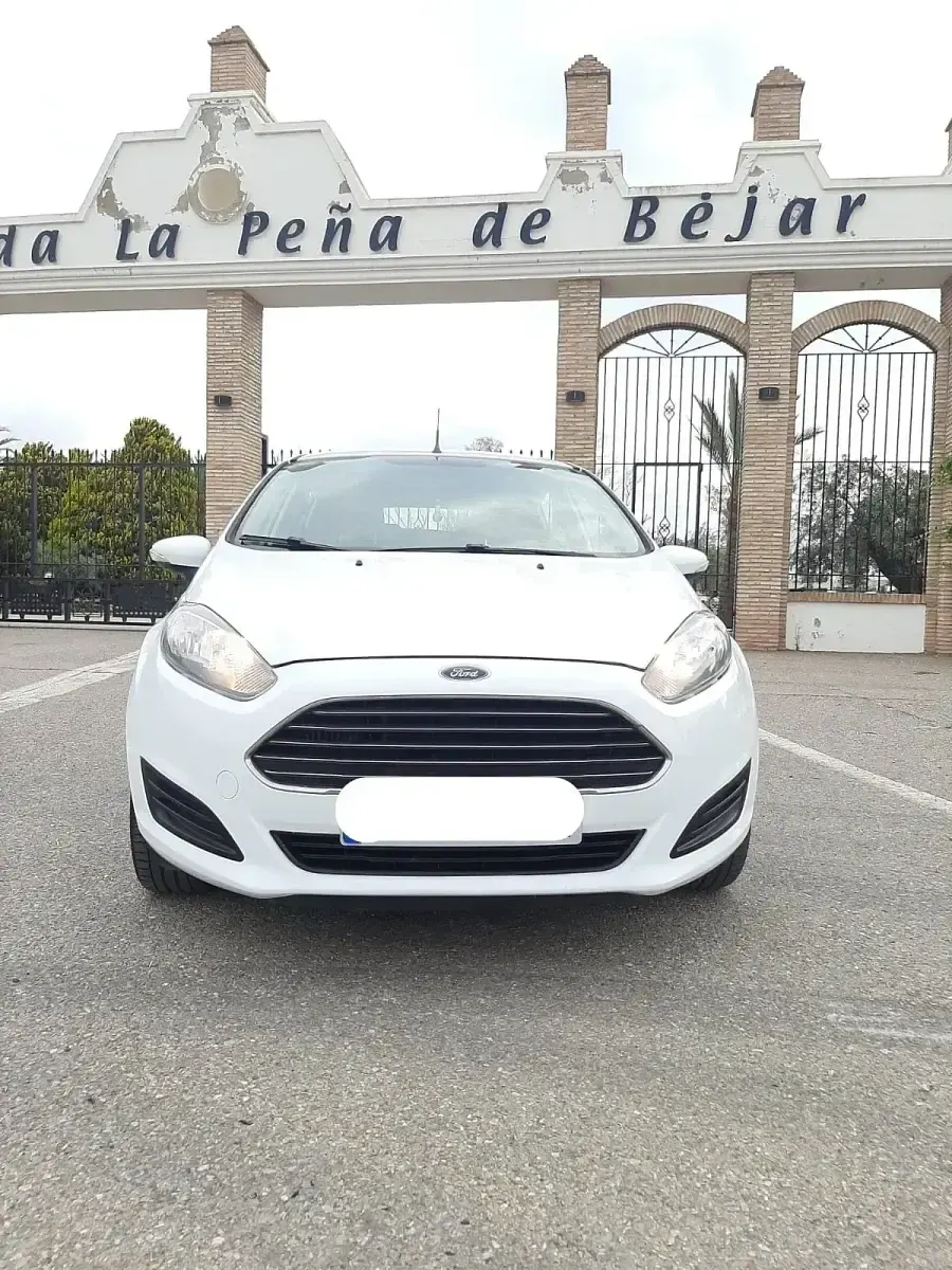 Usado Ford Fiesta Trend 75 CV (55 kW) 2015 Blanco Utilitario