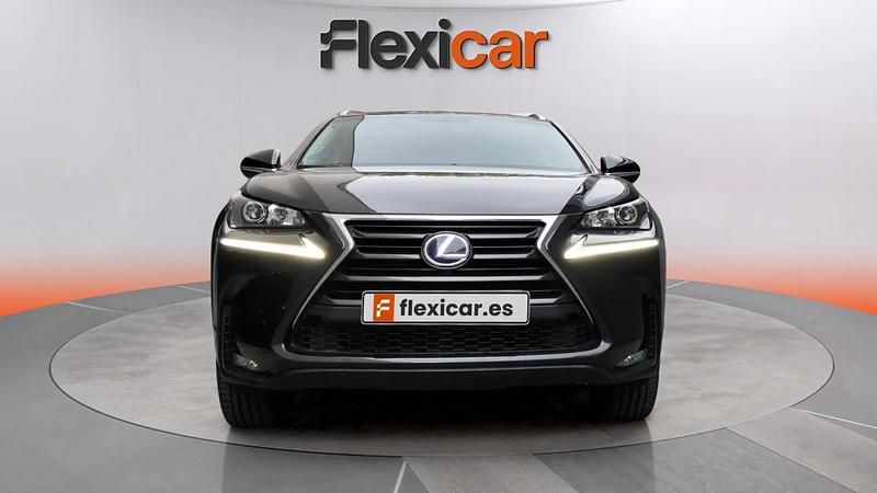 Usado Lexus NX300h Business Edition 197 CV (144 kW) 2017 Gris SUV