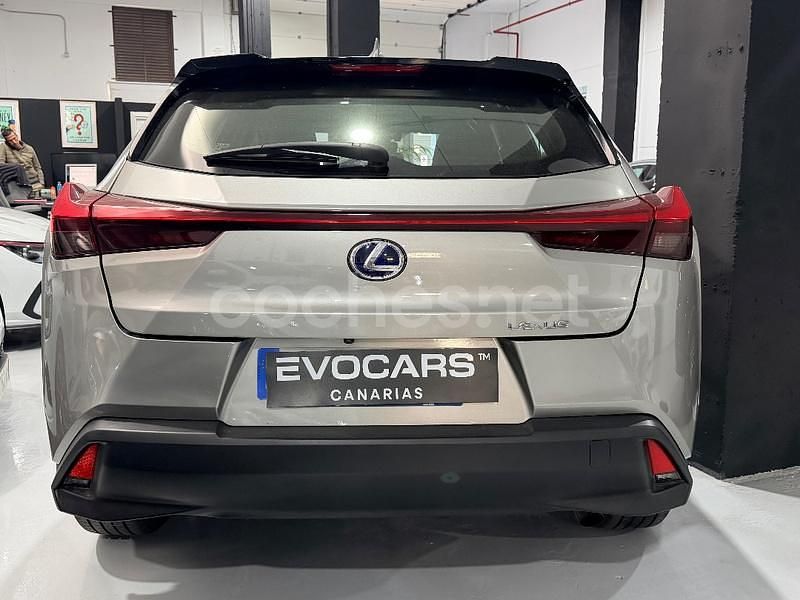 Usado Lexus UX Business Edition 184 CV (135 kW) 2019 Gris / plata SUV