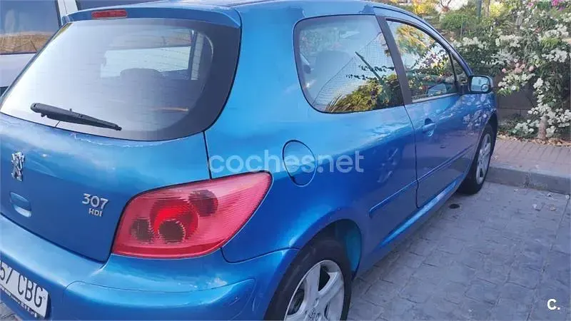 Usado Peugeot 307 110 CV (80 kW) 2002 Azul Berlina