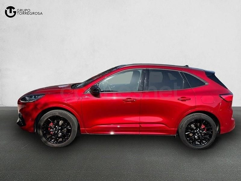 Usado Ford Kuga ST-Line X 225 CV (165 kW) 2023 Rojo SUV