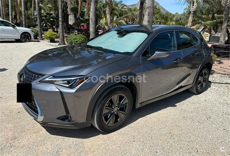 Usado Lexus UX Business Edition 184 CV (135 kW) 2019 Gris / plata SUV