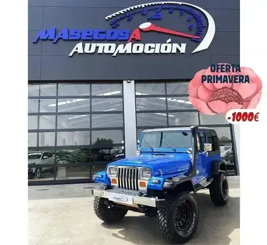 Usado Jeep Wrangler 177 CV (130 kW) 1993 SUV