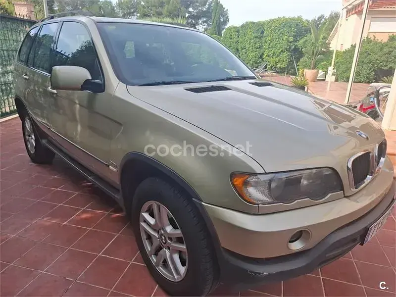 Usado BMW X5 231 CV (169 kW) 2002 Beige SUV