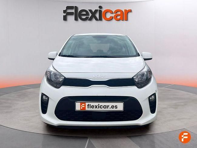 Usado Kia Picanto 67 CV (49 kW) 2023 Blanco Utilitario