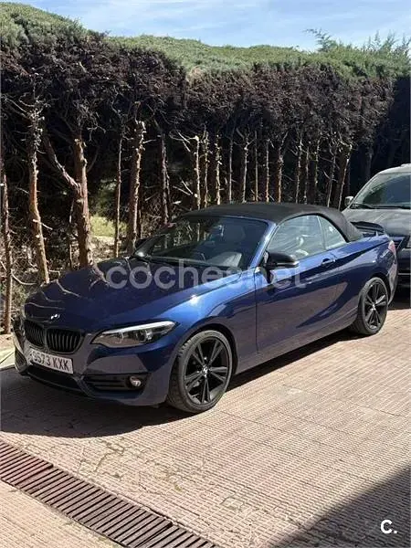 Usado BMW 218 150 CV (110 kW) 2019 Azul Descapotable