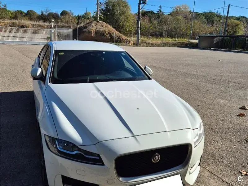 Usado Jaguar XF R-Sport 300 CV (220 kW) 2016 Blanco Berlina