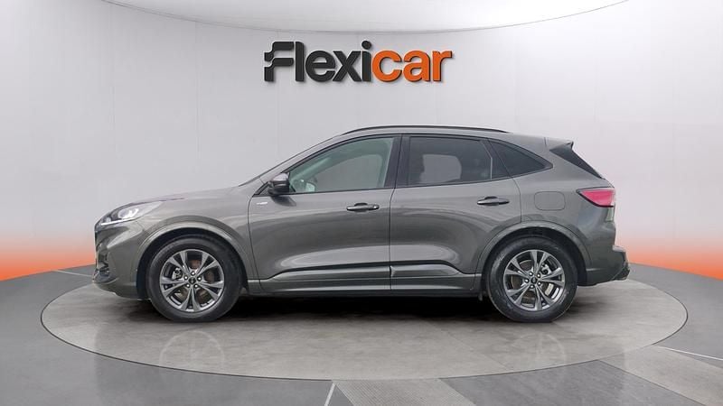 Usado Ford Kuga ST-Line 120 CV (88 kW) 2024 Gris SUV