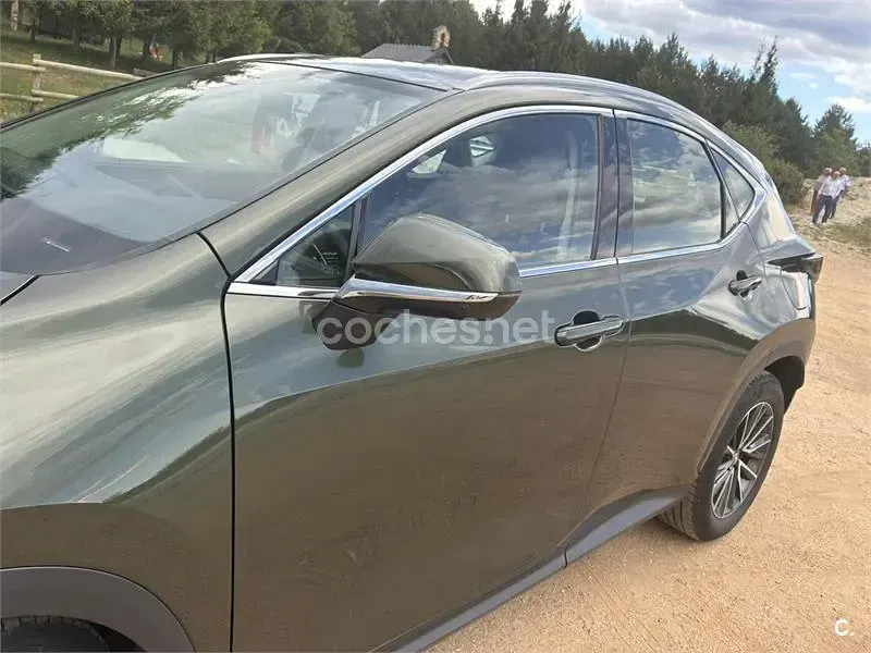 Usado Lexus NX350h 242 CV (177 kW) 2024 Verde SUV
