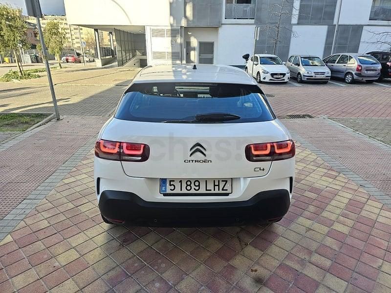 Usado Citroën C4 Cactus Feel 102 CV (75 kW) 2020 Blanco Utilitario