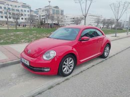 VW Beetle