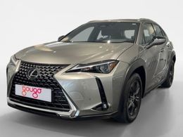 Lexus UX 300h