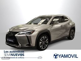 Lexus UX 250h