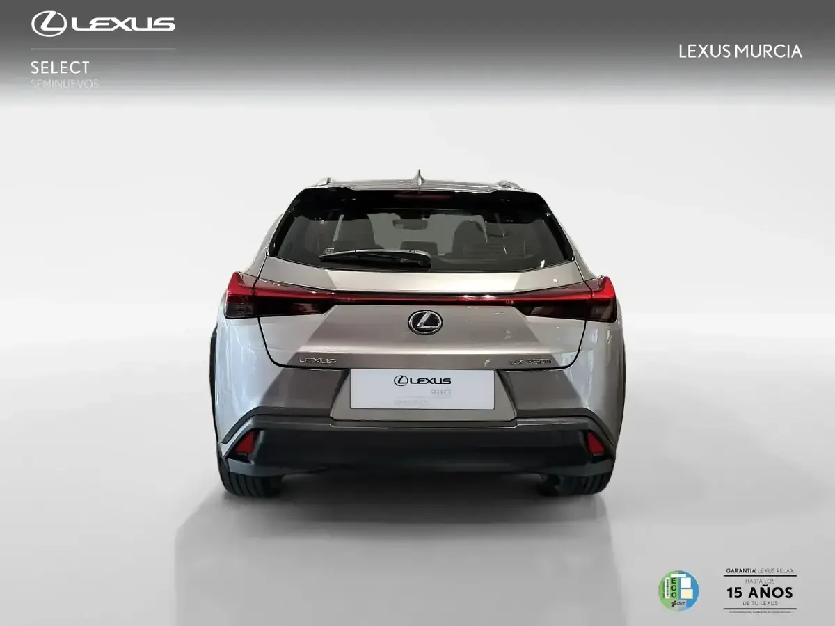 Brugt Lexus UX 250h Business Edition 184 HK (135 kW) 2022 Otro SUV