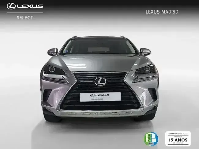 Usado Lexus NX300h Business Edition 197 CV (144 kW) 2018 Gris SUV