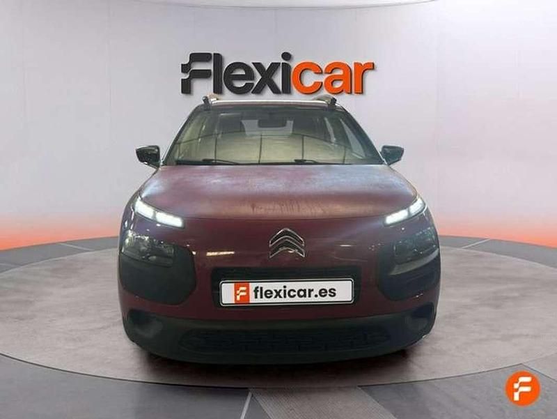 Usado Citroën C4 Cactus Feel 110 CV (80 kW) 2017 Rojo Utilitario
