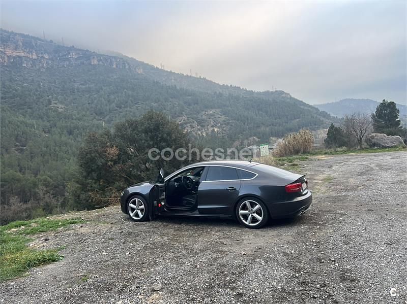 Usado Audi A5 Sportback 170 CV (125 kW) 2010 Marrón Utilitario