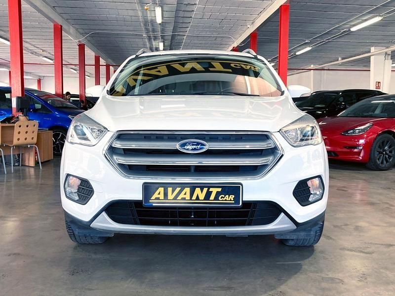 Usado Ford Kuga Trend 120 CV (88 kW) 2019 Blanco SUV