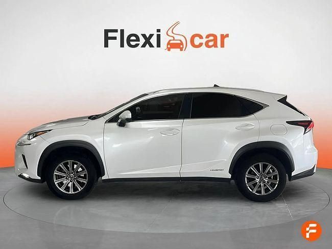 Usado Lexus NX300h Business Edition 197 CV (144 kW) 2019 Blanco SUV