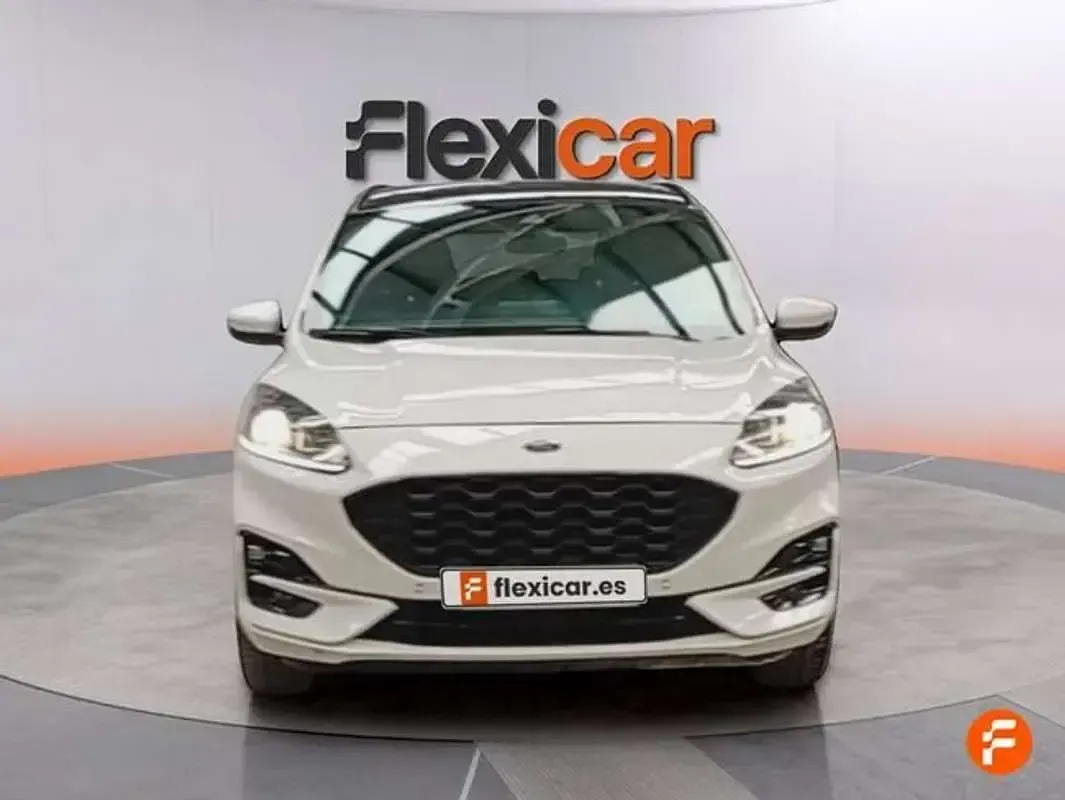 Usado Ford Kuga ST-Line 190 CV (139 kW) 2021 Blanco SUV